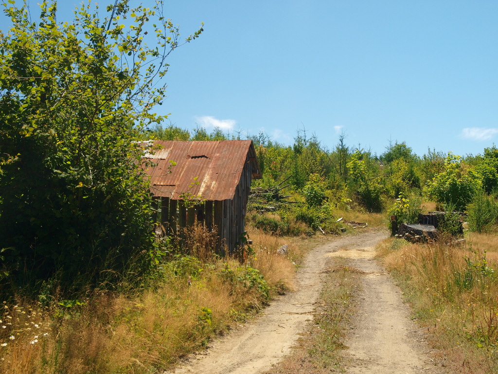 Timber, Oregon